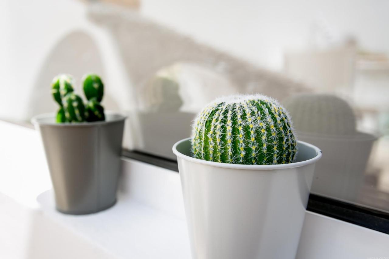 Cactus Apartment San Miguel de Abona Kültér fotó