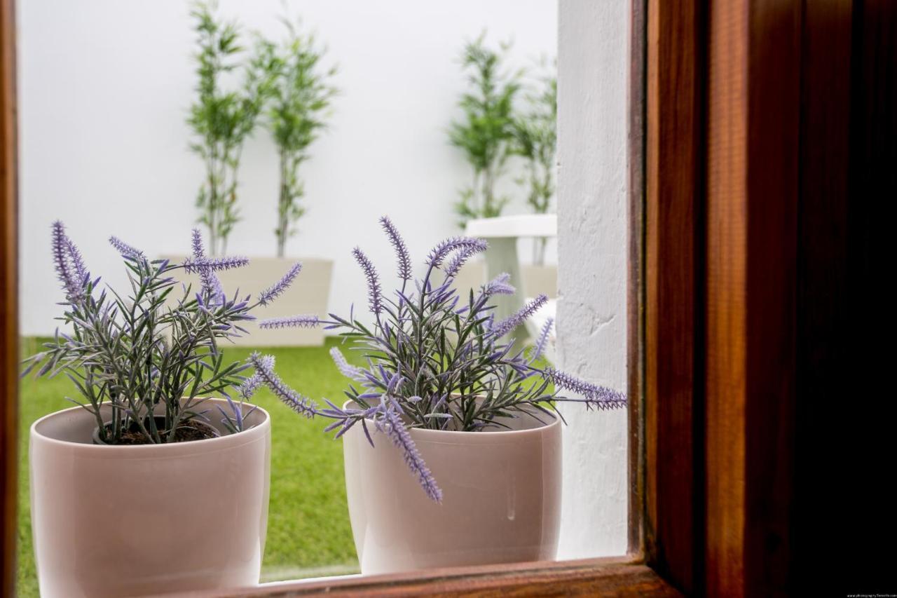 Cactus Apartment San Miguel de Abona Kültér fotó