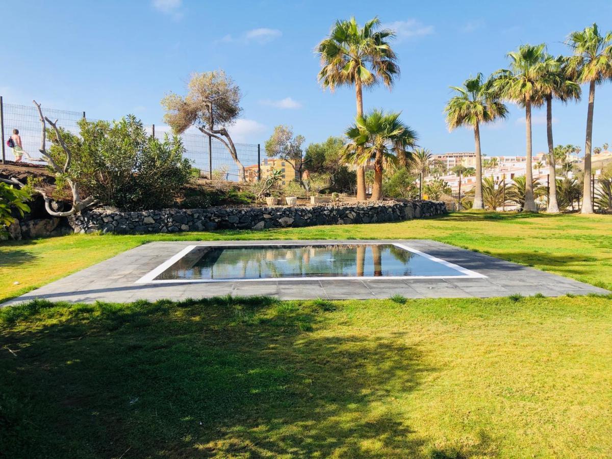 Cactus Apartment San Miguel de Abona Kültér fotó